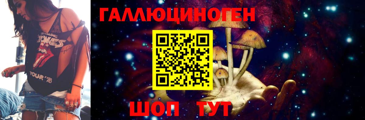 Галлюциногенные грибы Cubensis Кстово